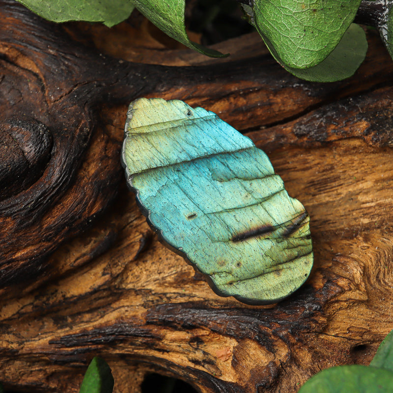 Labradorite Carved Buddha Head Token