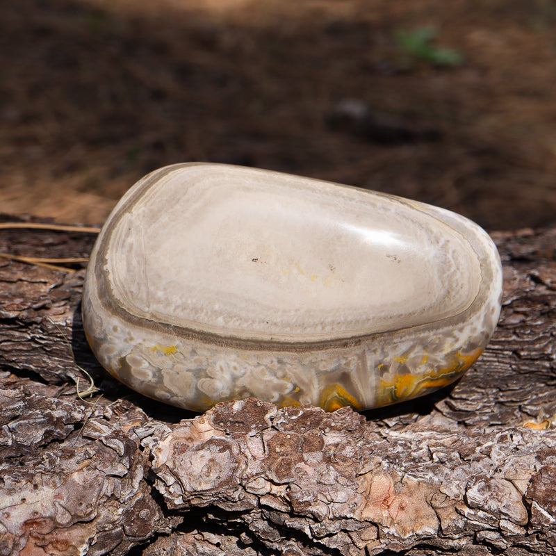 Bumblebee Jasper Free Form