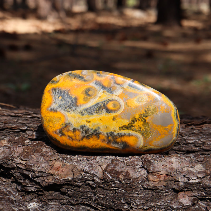 Bumblebee Jasper Free Form
