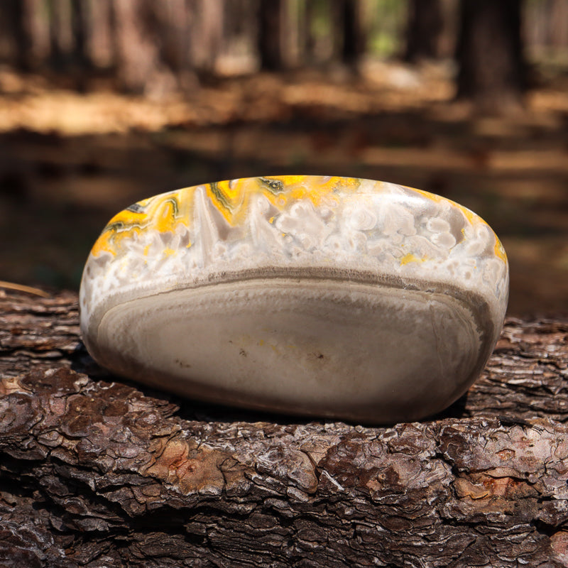 Bumblebee Jasper Free Form