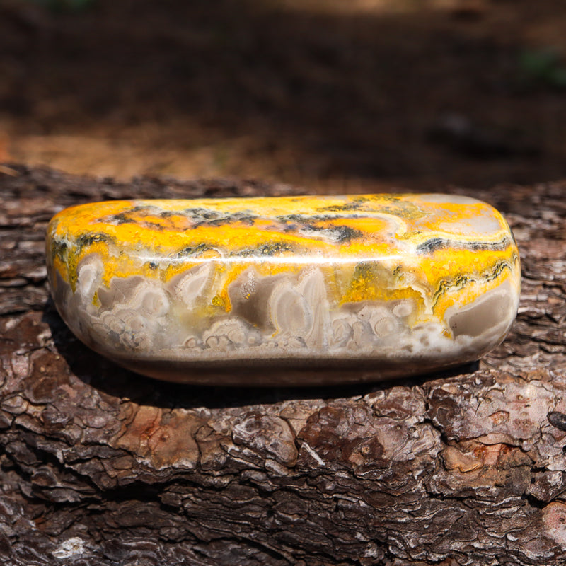 Bumblebee Jasper Free Form