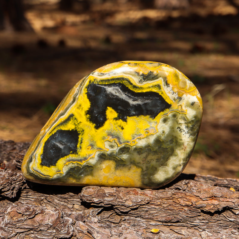 Bumblebee Jasper Free Form