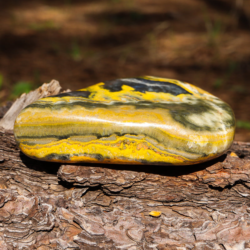 Bumblebee Jasper Free Form