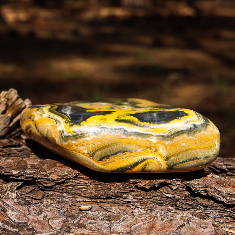 Bumblebee Jasper Free Form