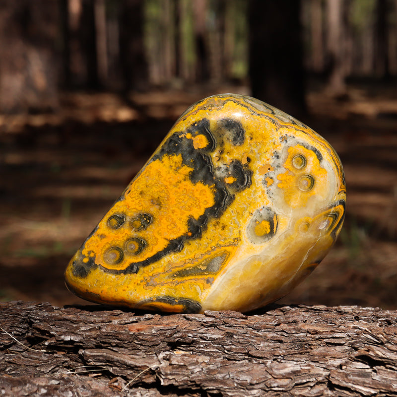 Bumblebee Jasper Free Form