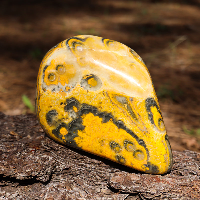 Bumblebee Jasper Free Form