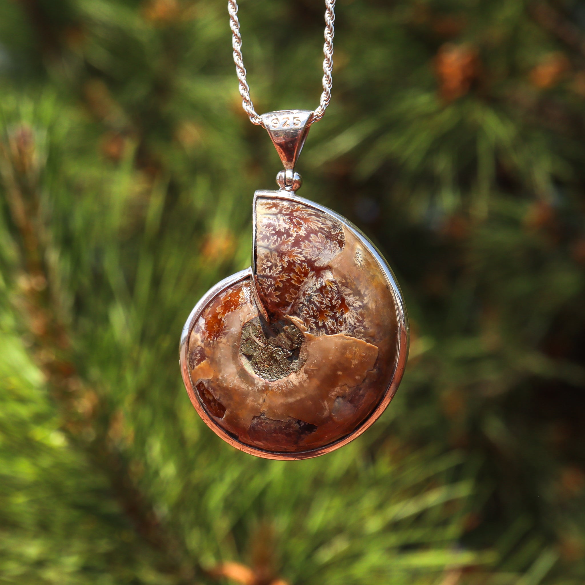 Ammonite Nautilus Pendant