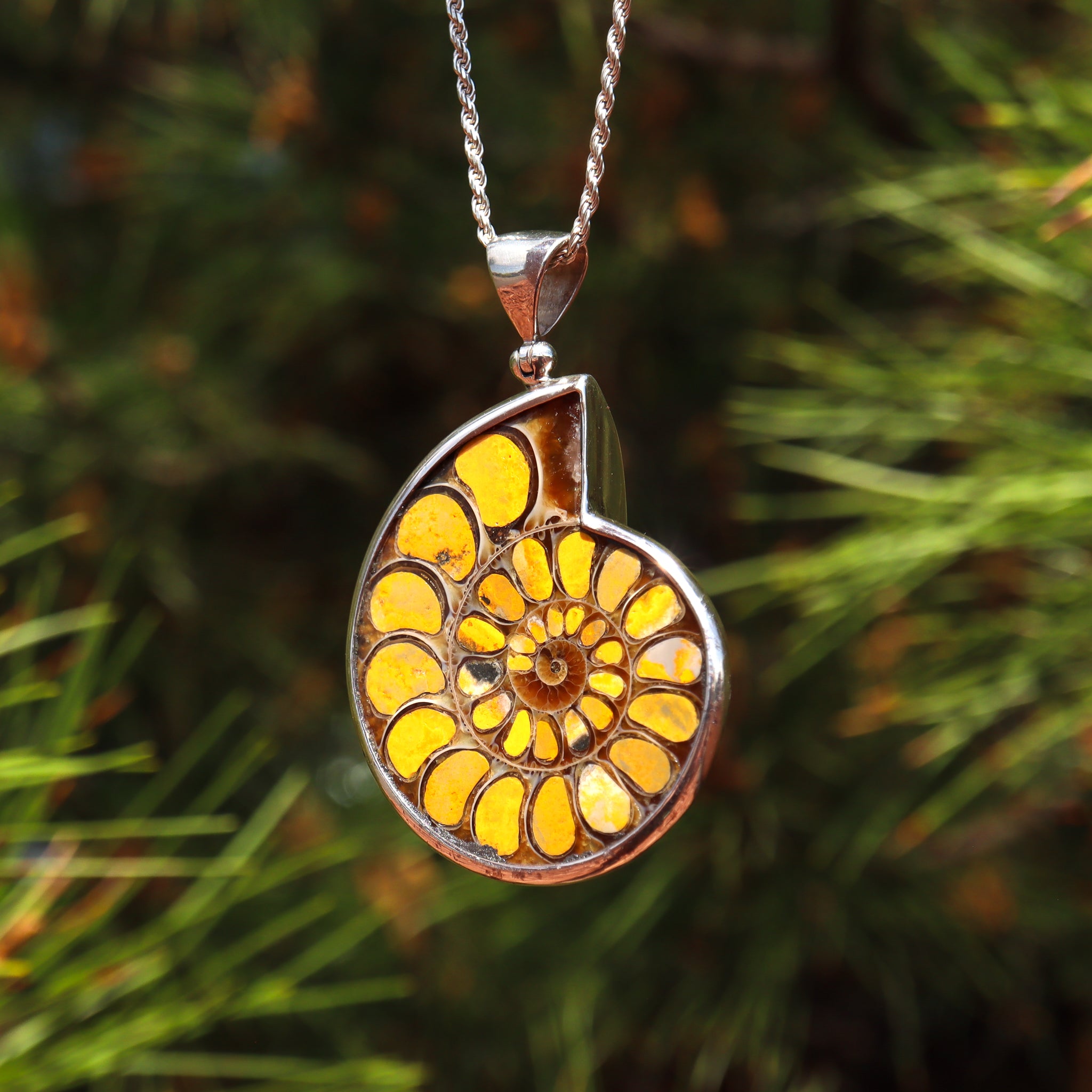 Ammonite Nautilus Pendant