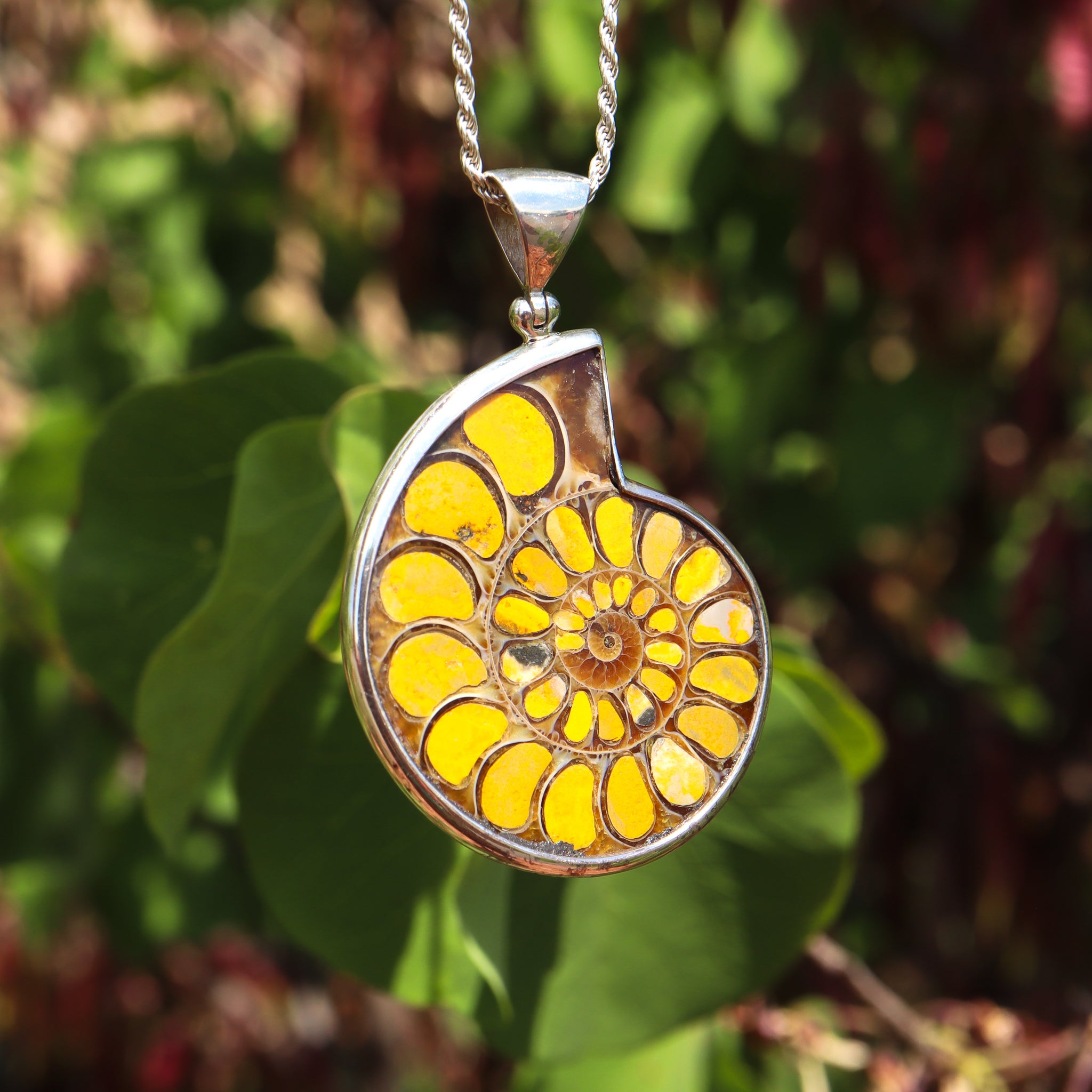 Ammonite Nautilus Pendant