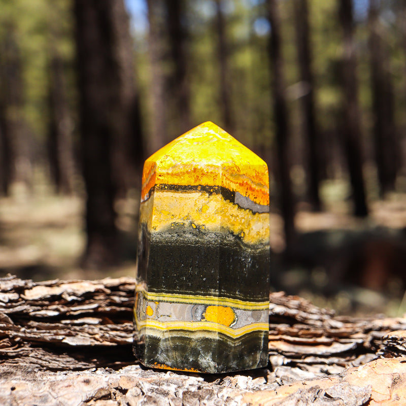 Bumblebee Jasper Point