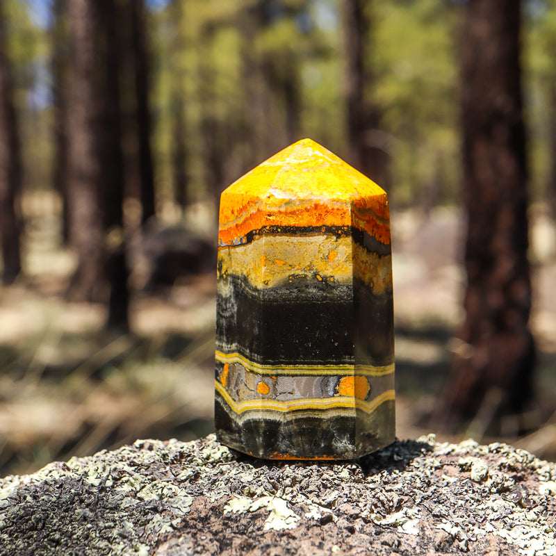 Bumblebee Jasper Point