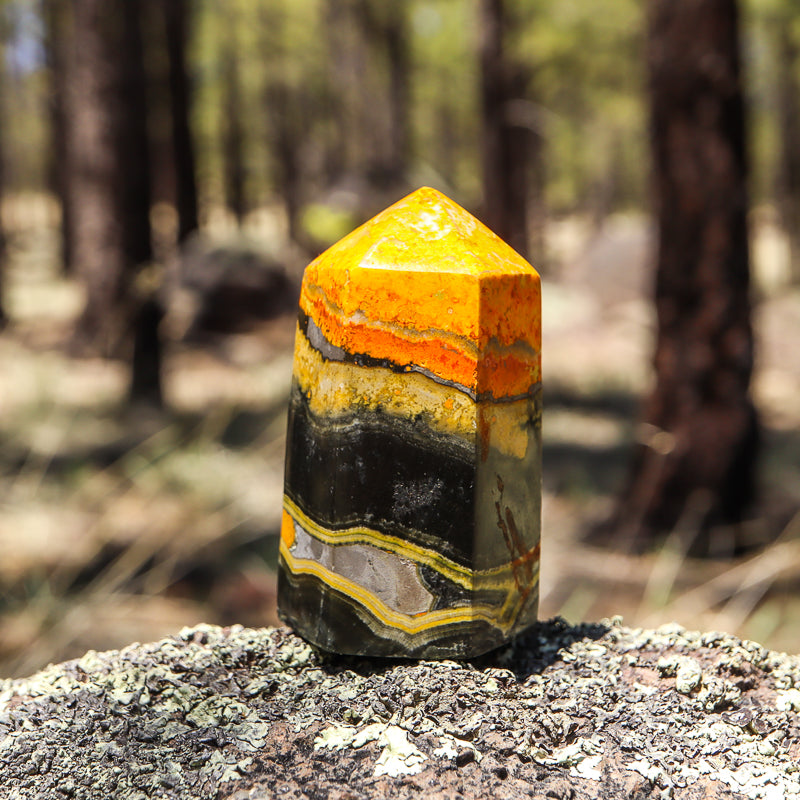 Bumblebee Jasper Point
