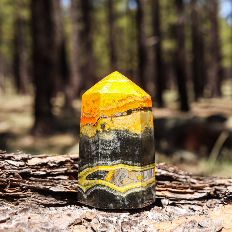 Bumblebee Jasper Point