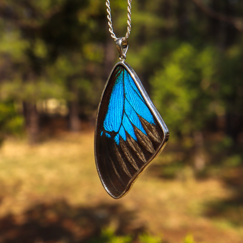 Encased Butterfly Wing Pendant