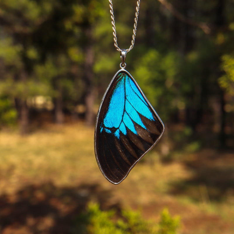 Encased Butterfly Wing Pendant