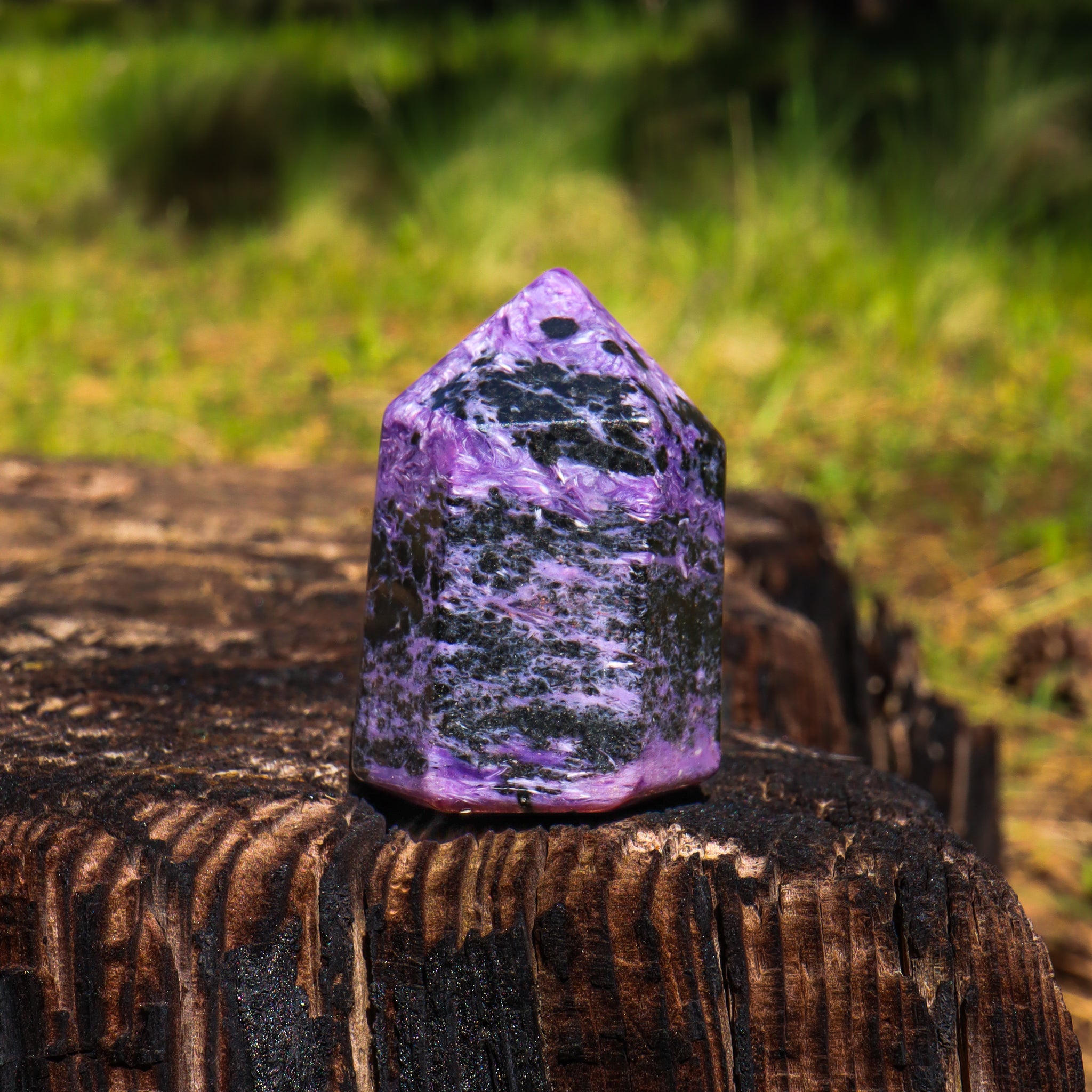Charoite Point