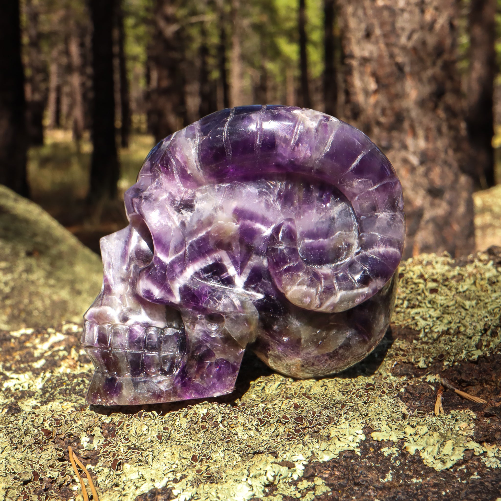 Amethyst Chevron Skull with Horns