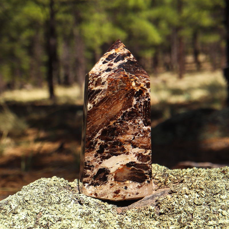 Chocolate Opal Point