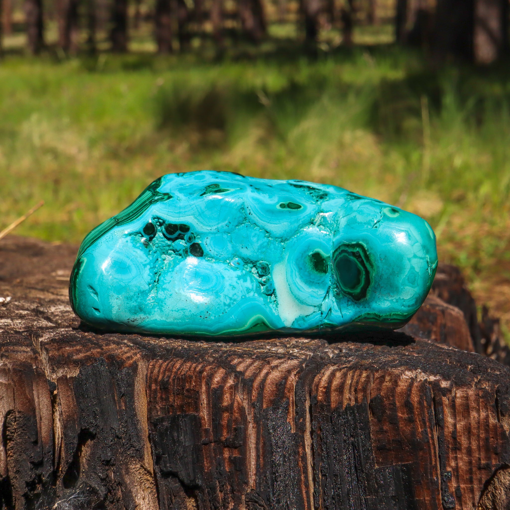 Malachite and Chrysocolla Free Form