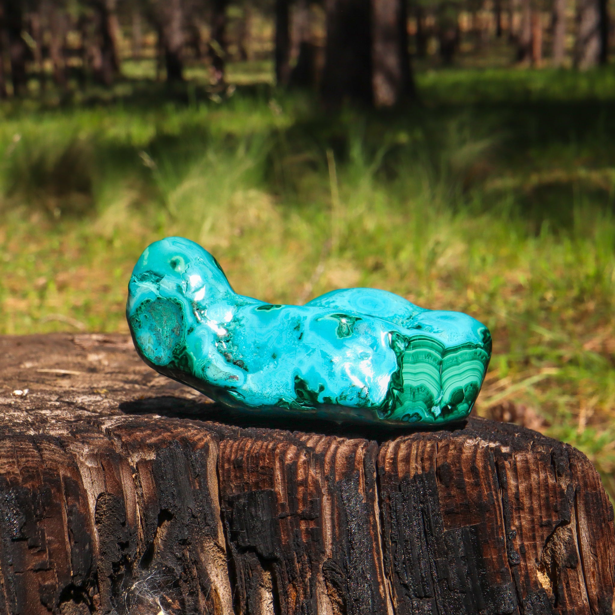 Malachite and Chrysocolla Free Form