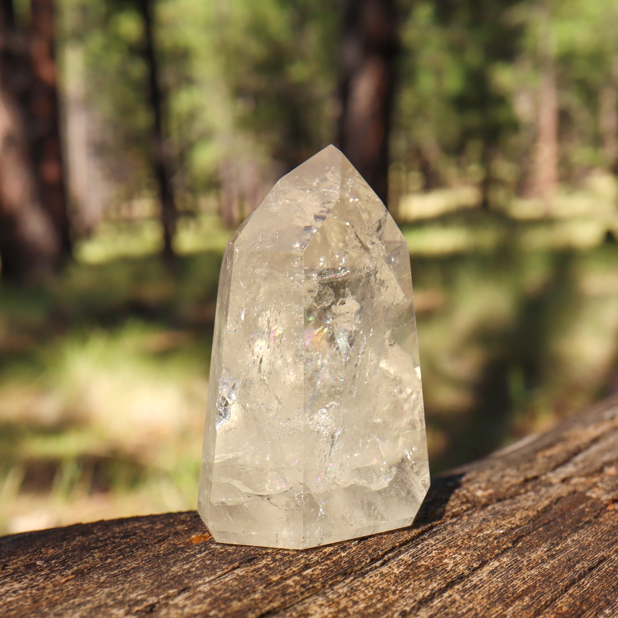 Natural Citrine Point