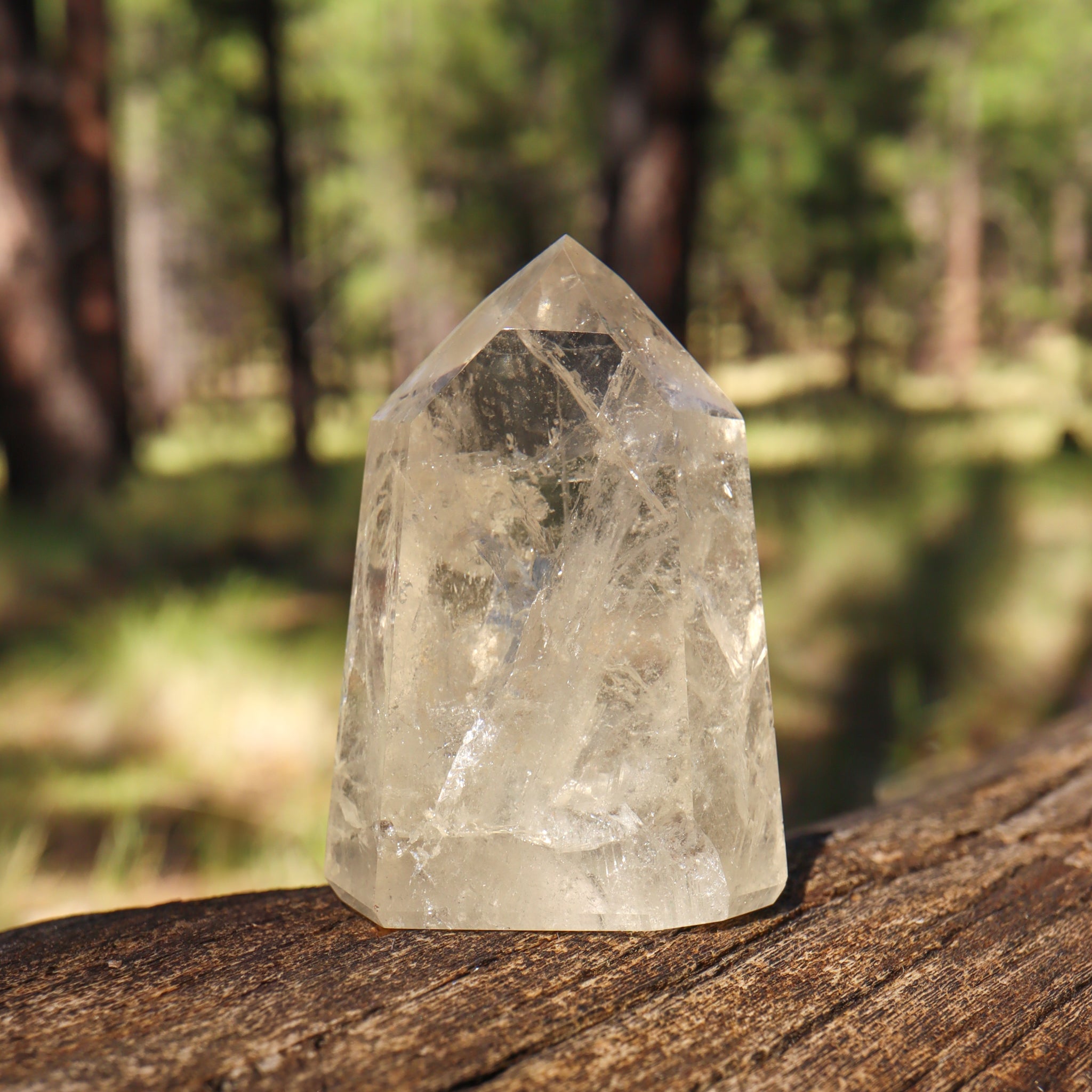 Natural Citrine Point