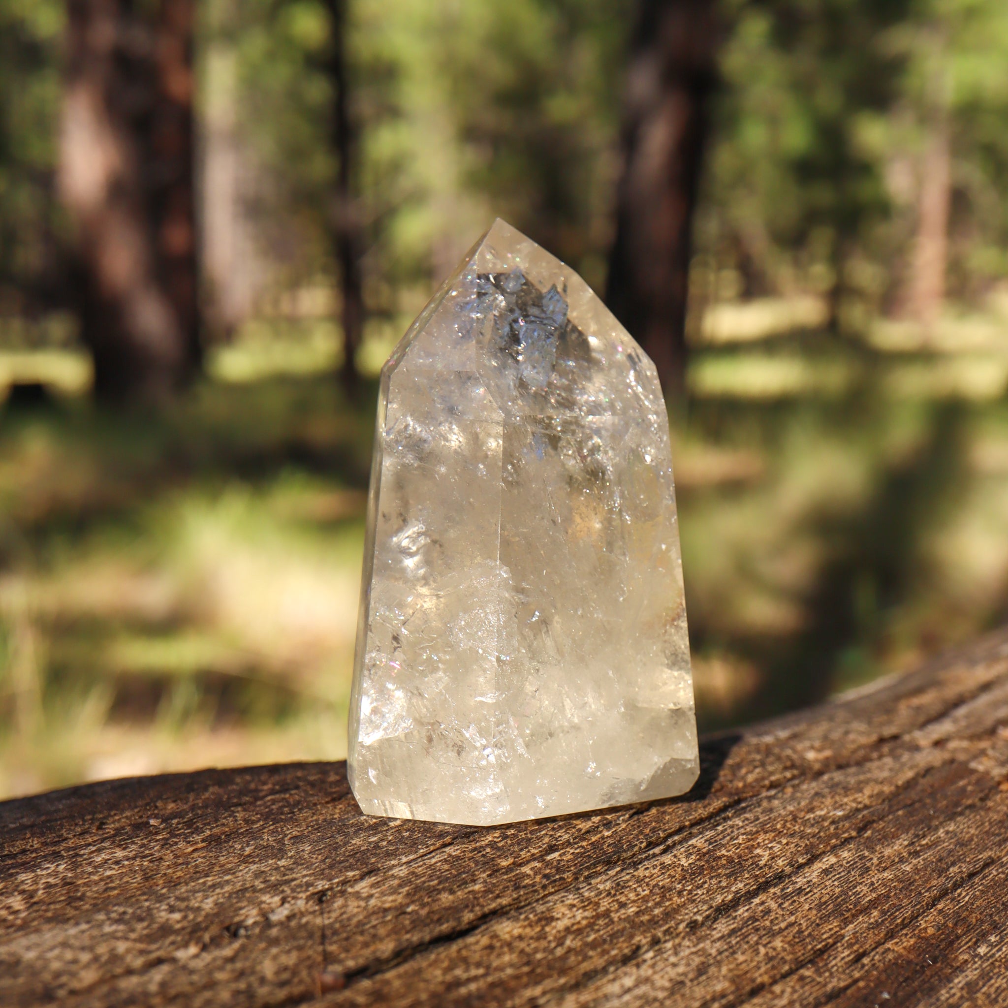 Natural Citrine Point