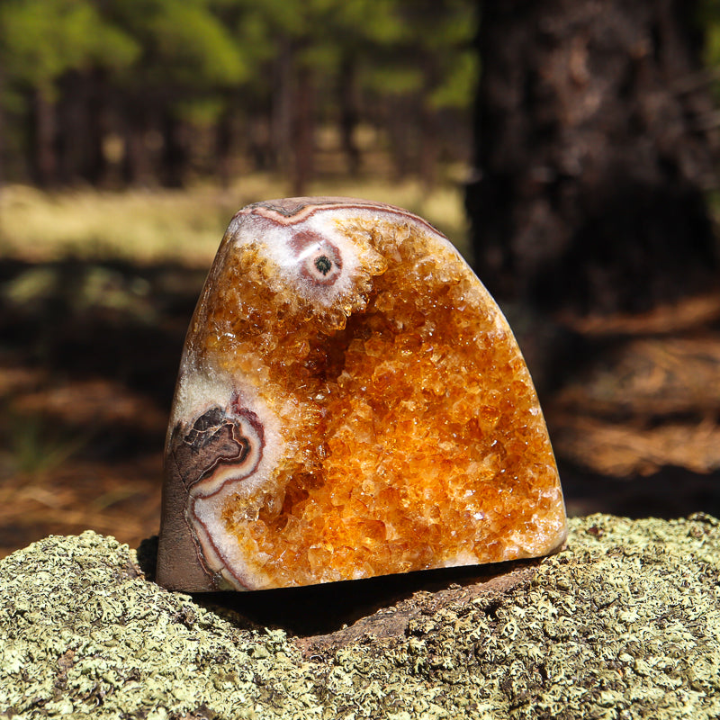 Base Cut Citrine Geode