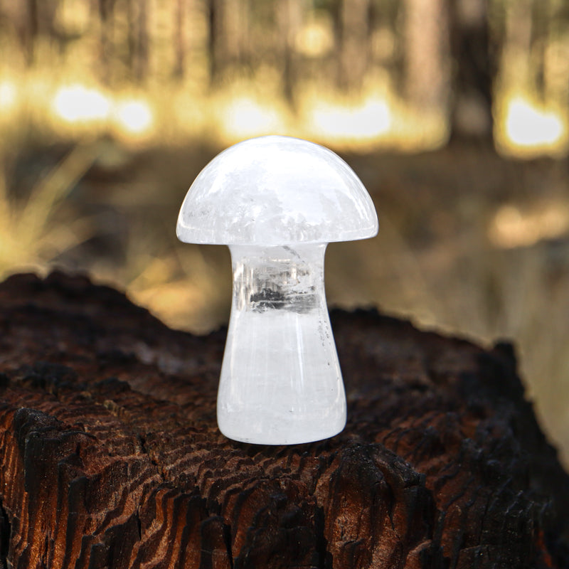 Clear Quartz Carved Mushroom