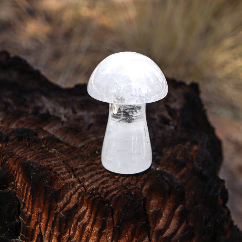 Clear Quartz Carved Mushroom