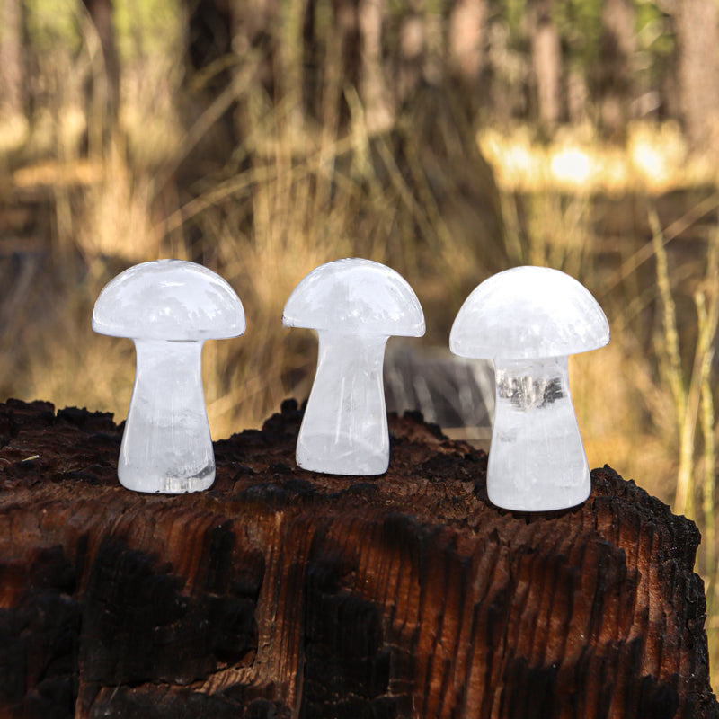 Clear Quartz Carved Mushroom