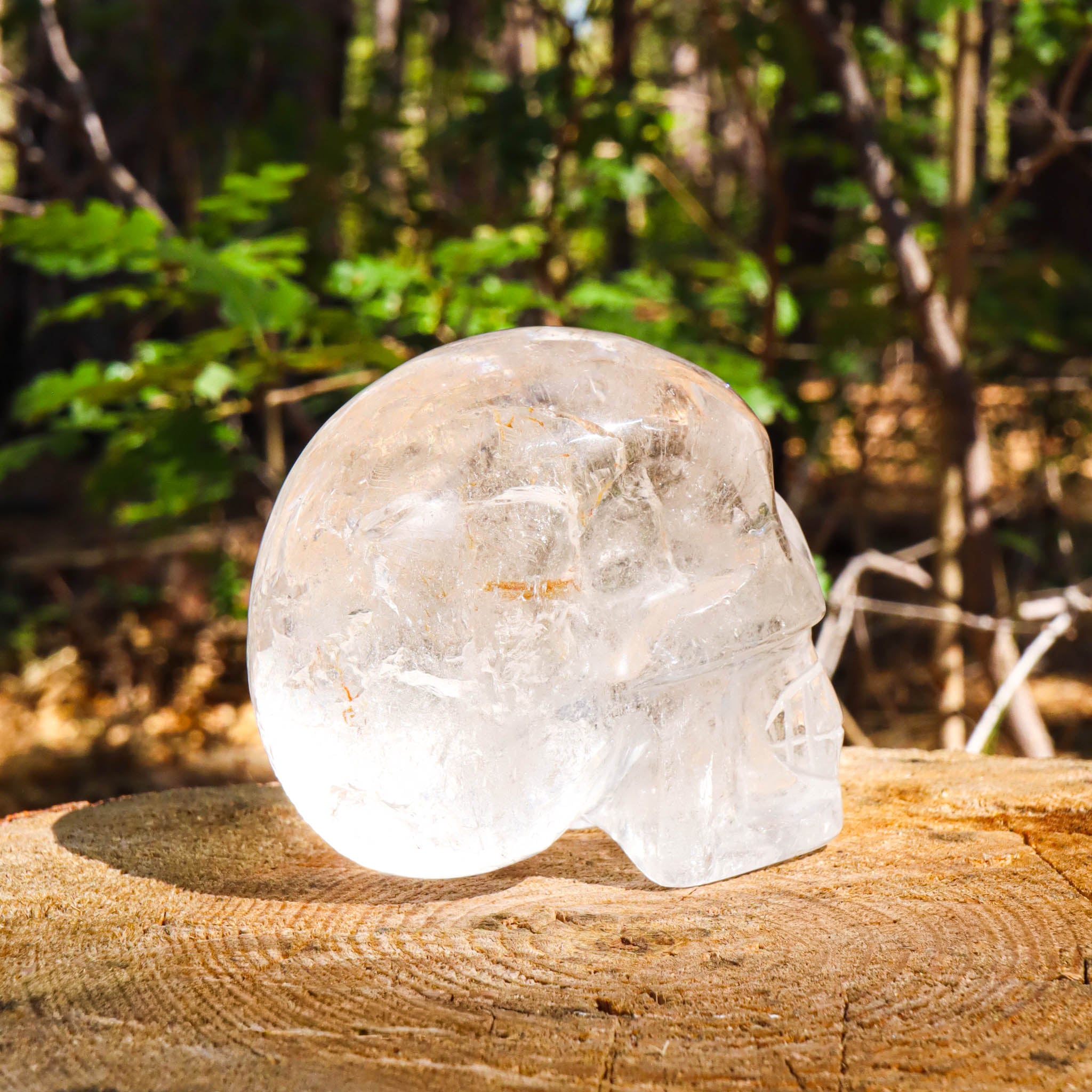 Clear Quartz Skull