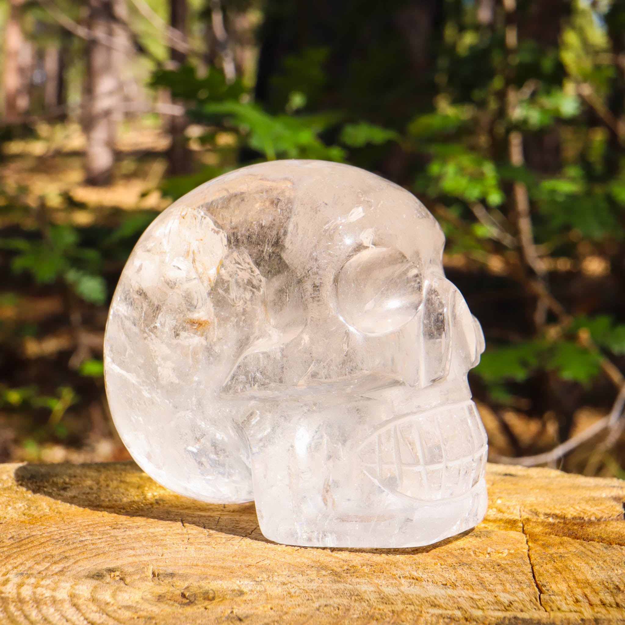 Clear Quartz Skull