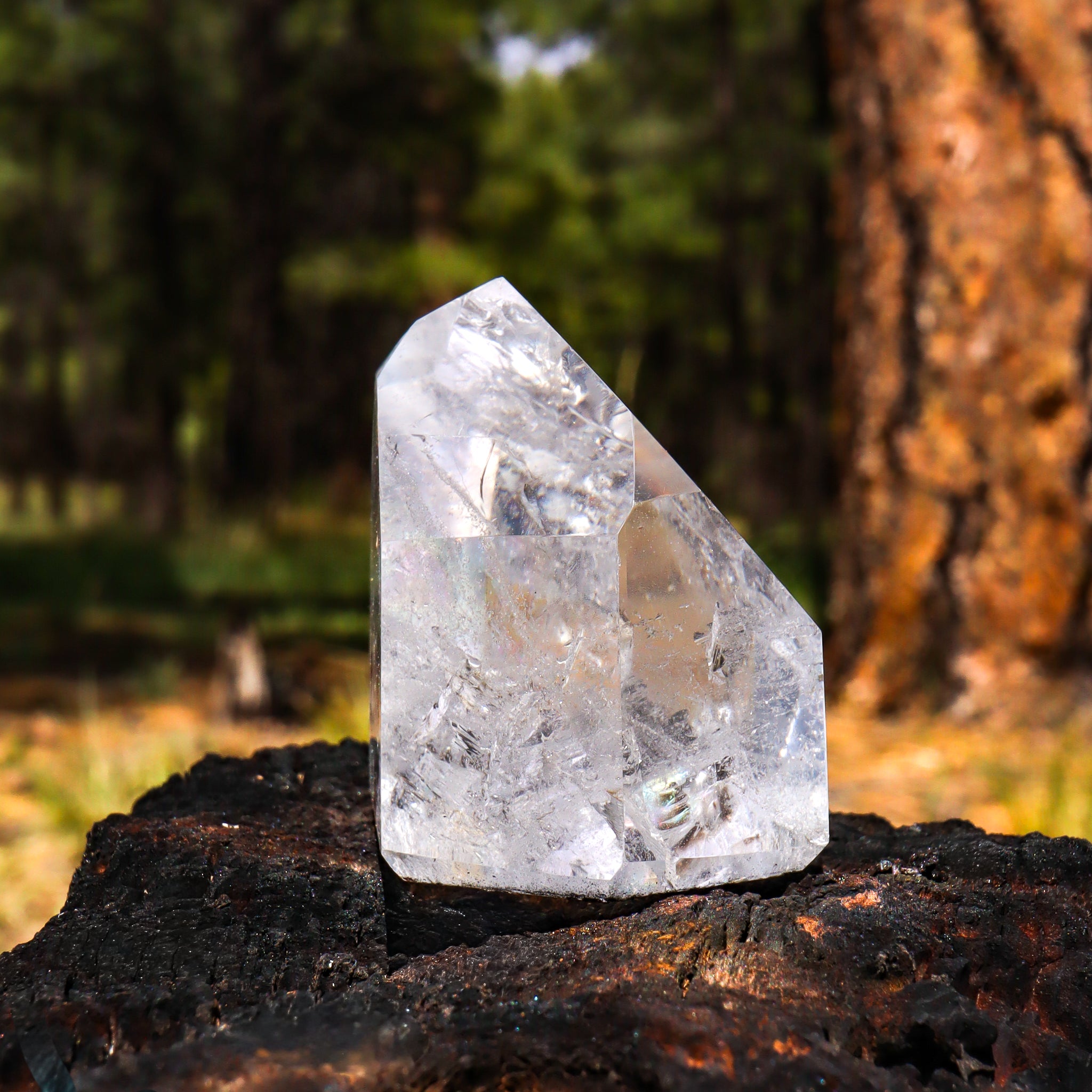 Clear Quartz Point