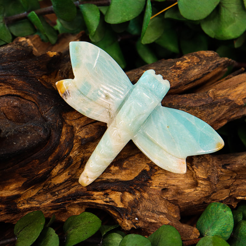 Caribbean Calcite Carved Dragonfly