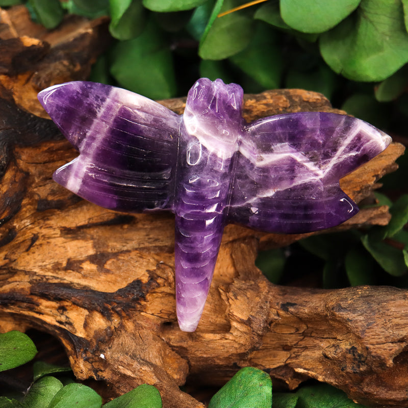 Amethyst Chevron Carved Dragonfly