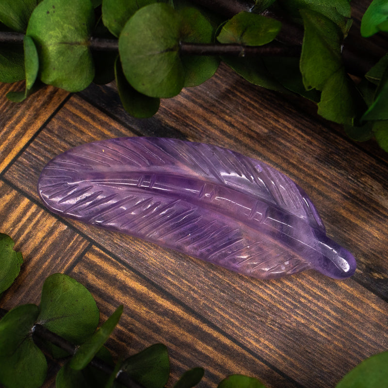 Fluorite Carved Feather