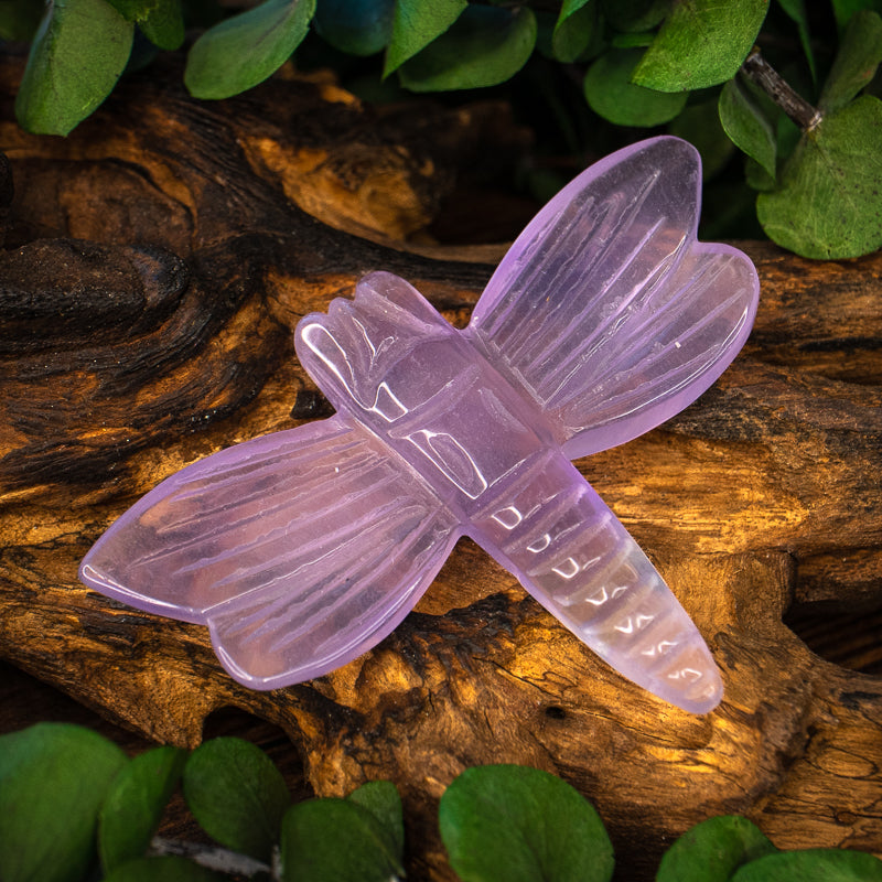 Fluorite Carved Dragonfly
