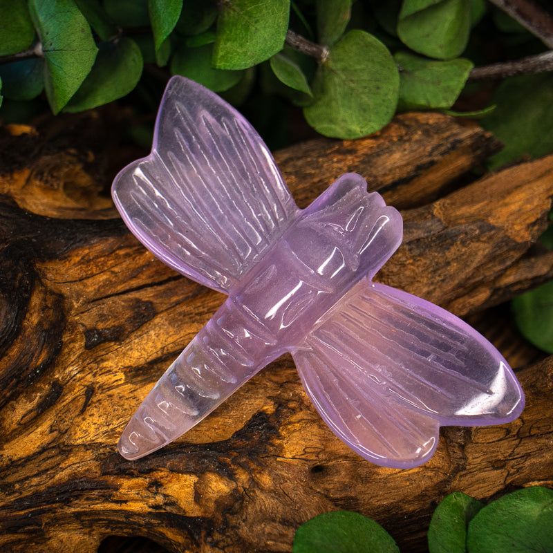 Fluorite Carved Dragonfly