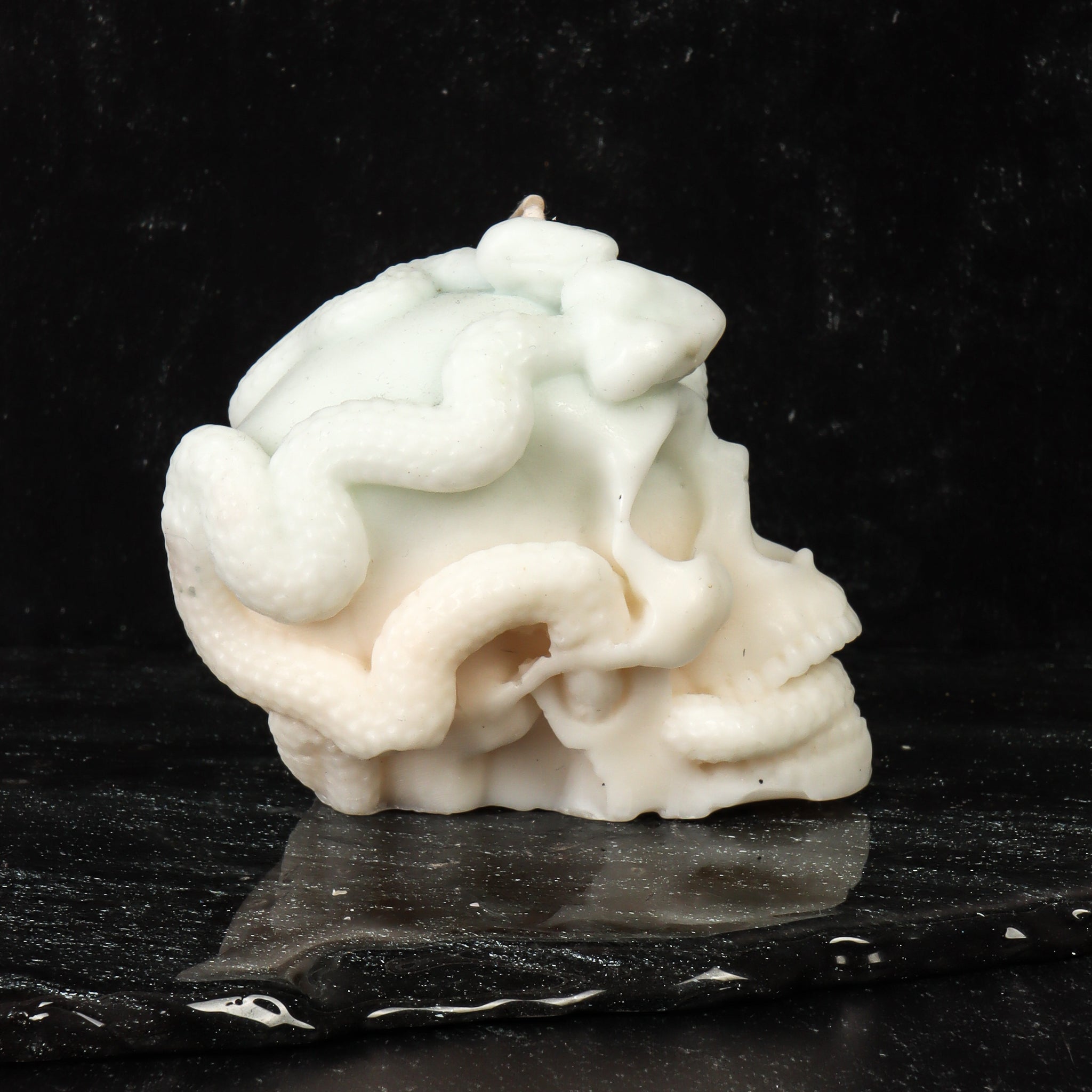 Glow in the Dark Skull with Serpents Candle