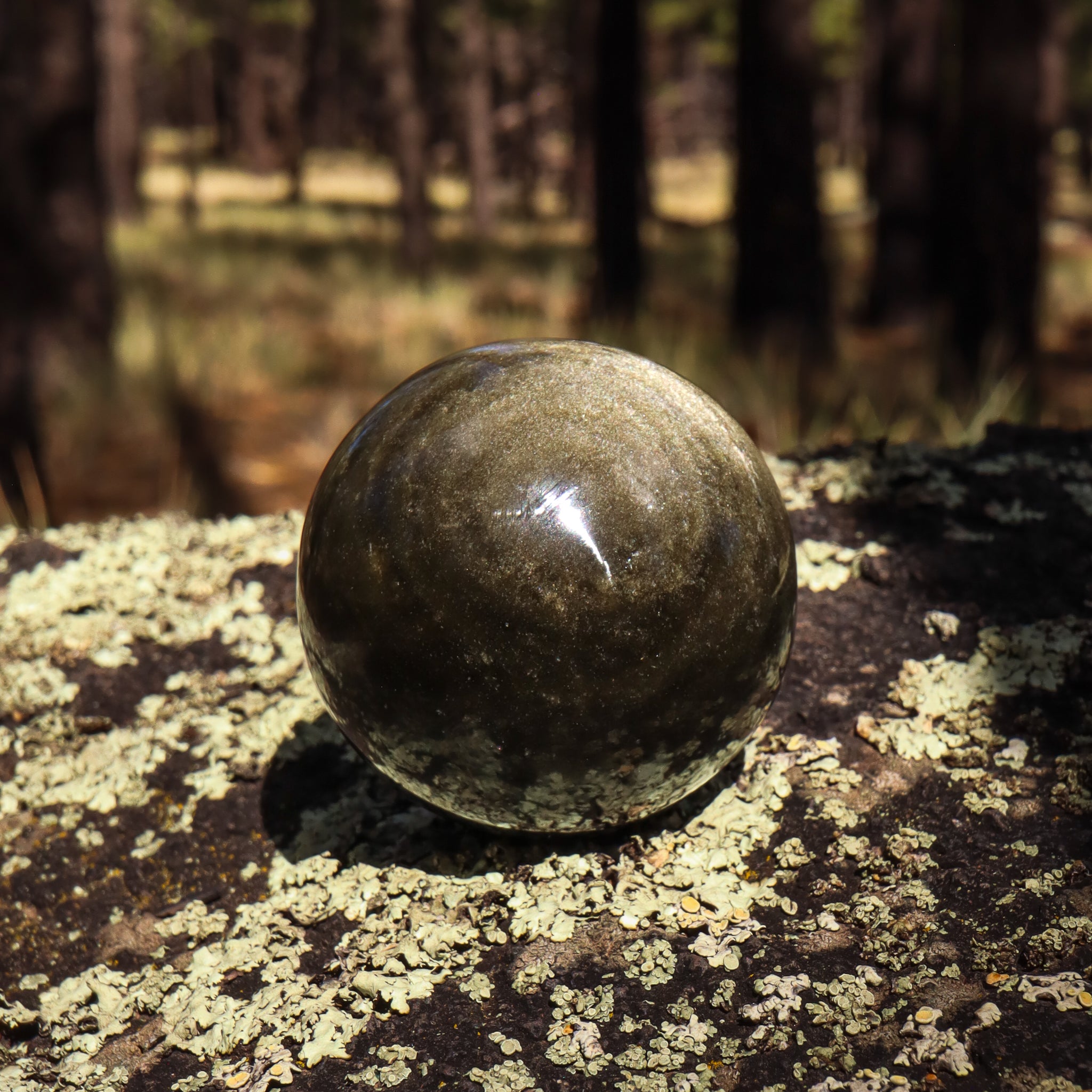 Gold Sheen Obsidian Sphere