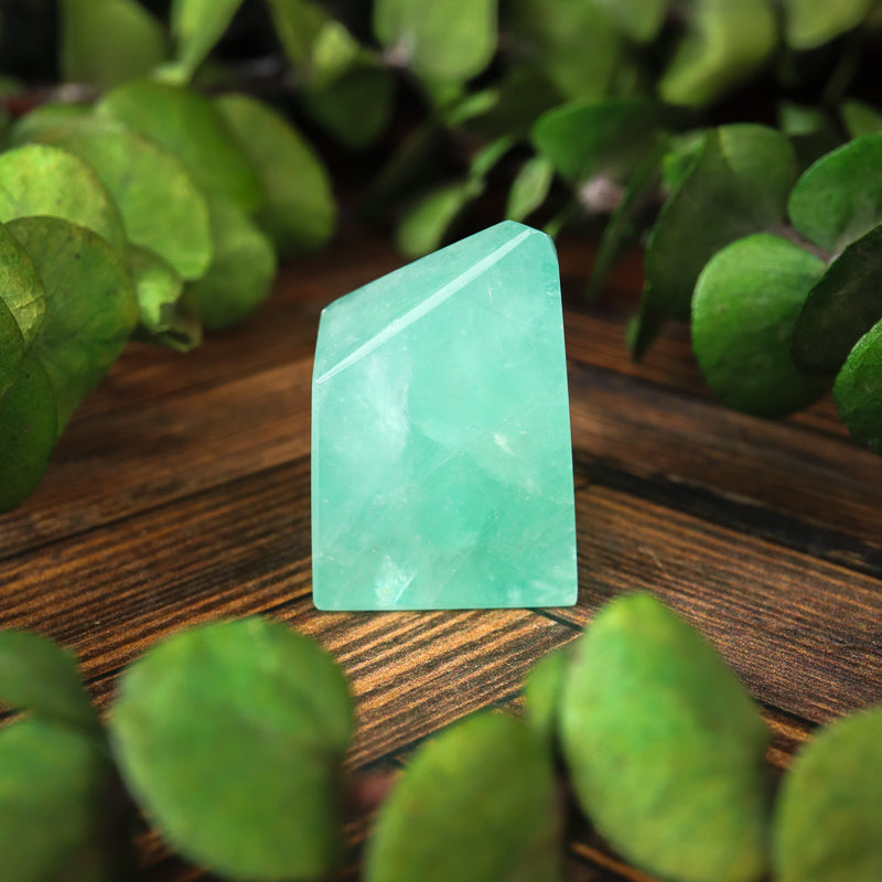 Fluorite Carved Free Form