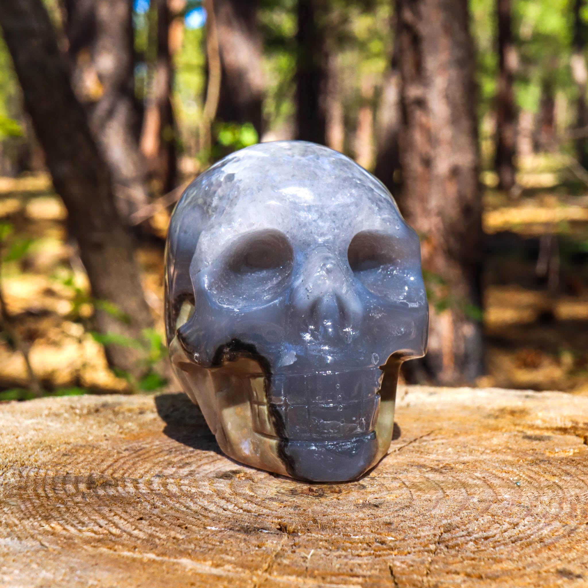 Gray Banded Agate Skull