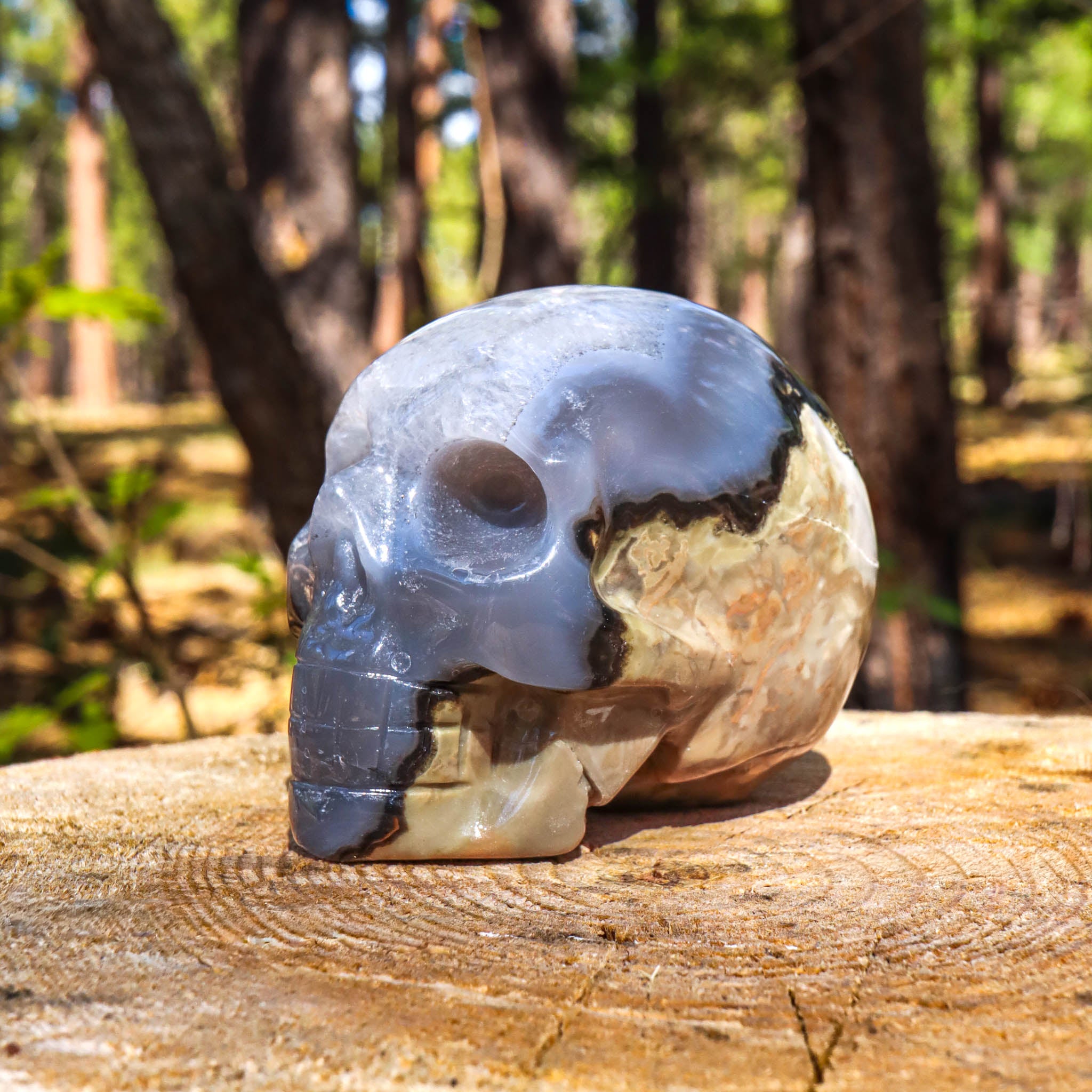 Gray Banded Agate Skull