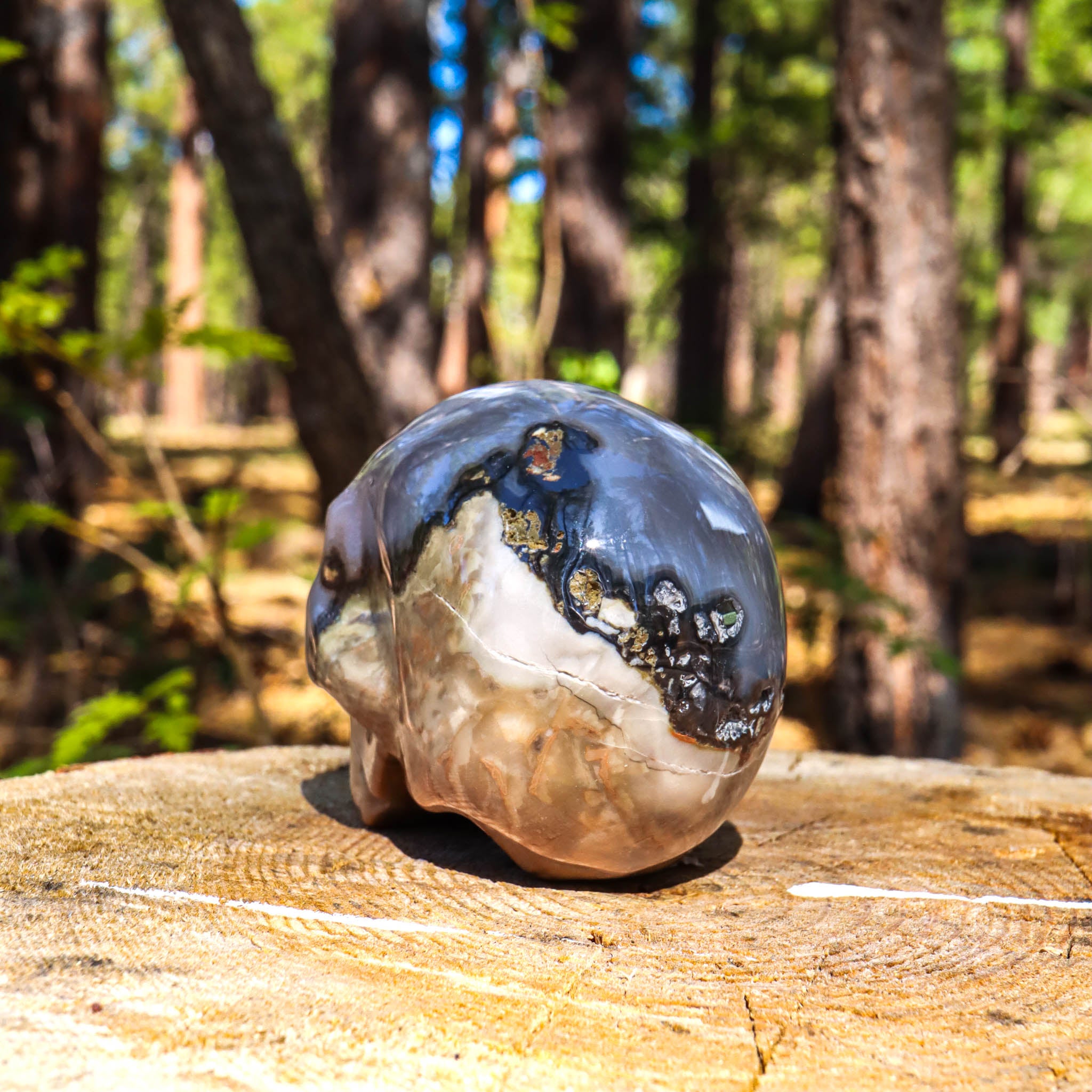 Gray Banded Agate Skull