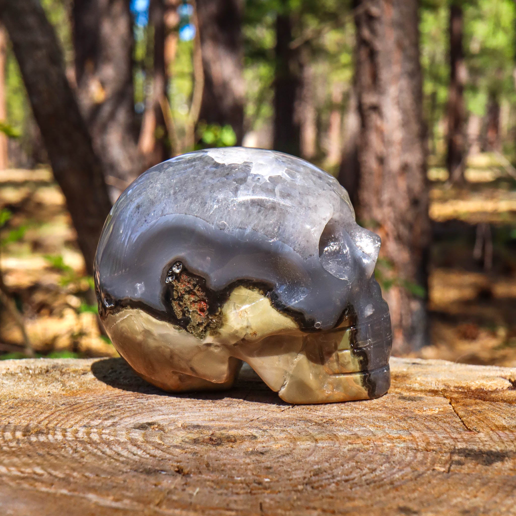 Gray Banded Agate Skull