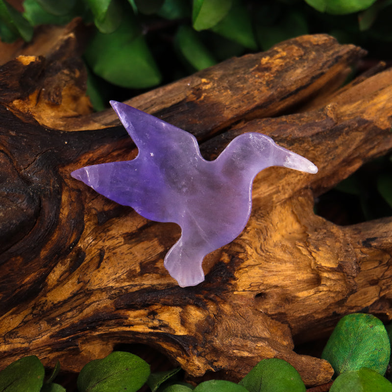 Fluorite Carved Hummingbird