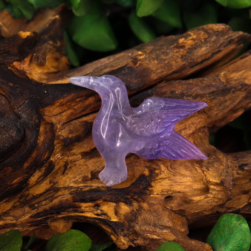 Fluorite Carved Hummingbird