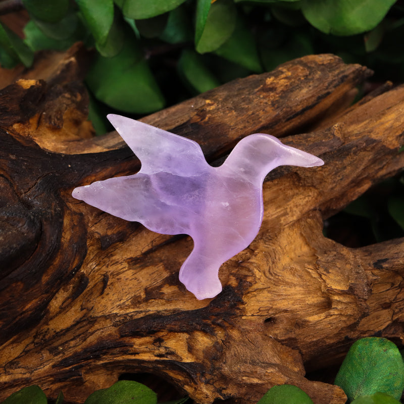 Fluorite Carved Hummingbird