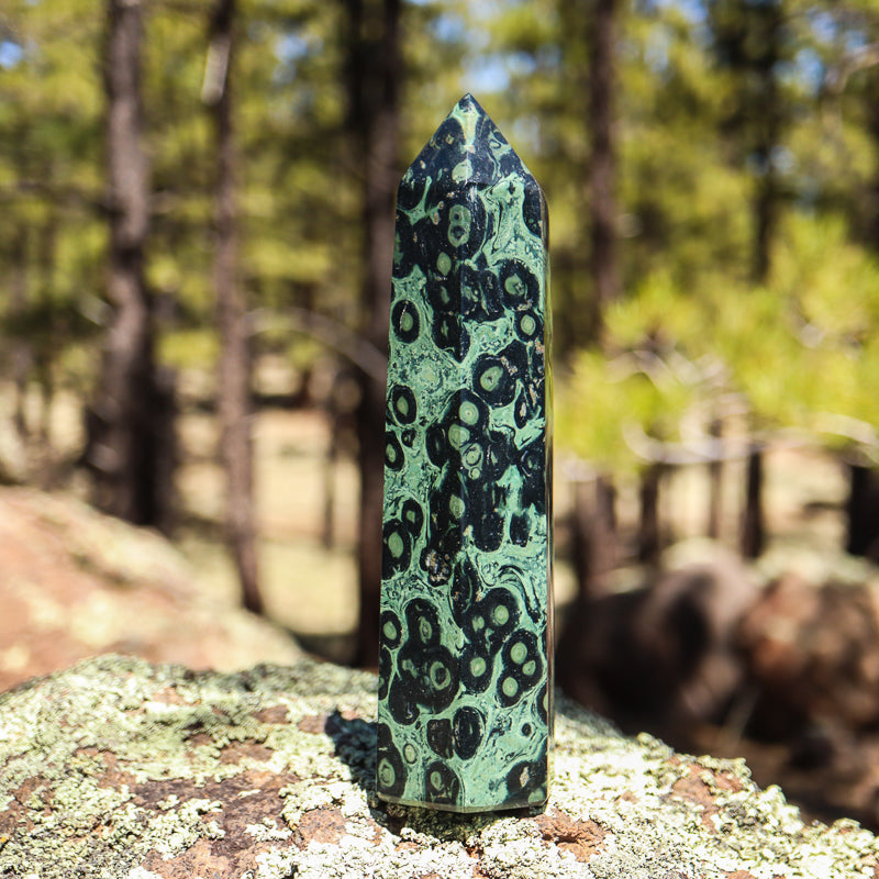 Kambaba Jasper Point